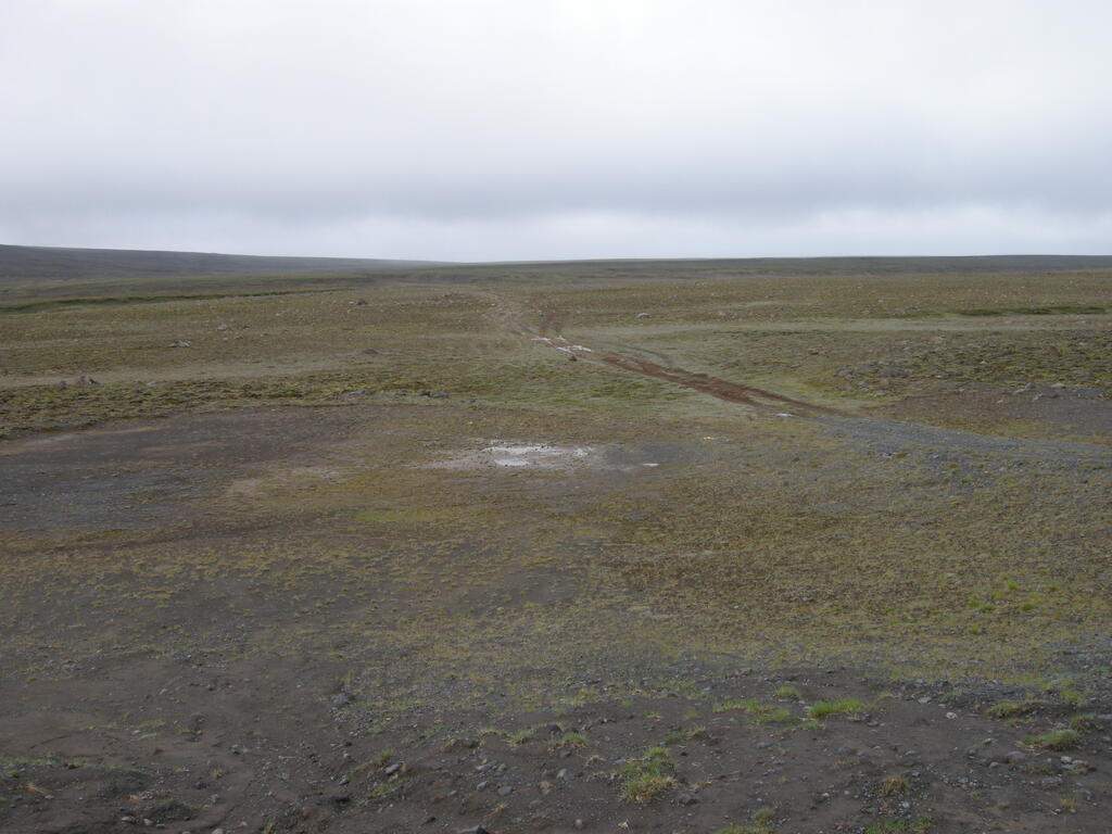 Das letzte Stück vor der Kjölur war etwas matschig