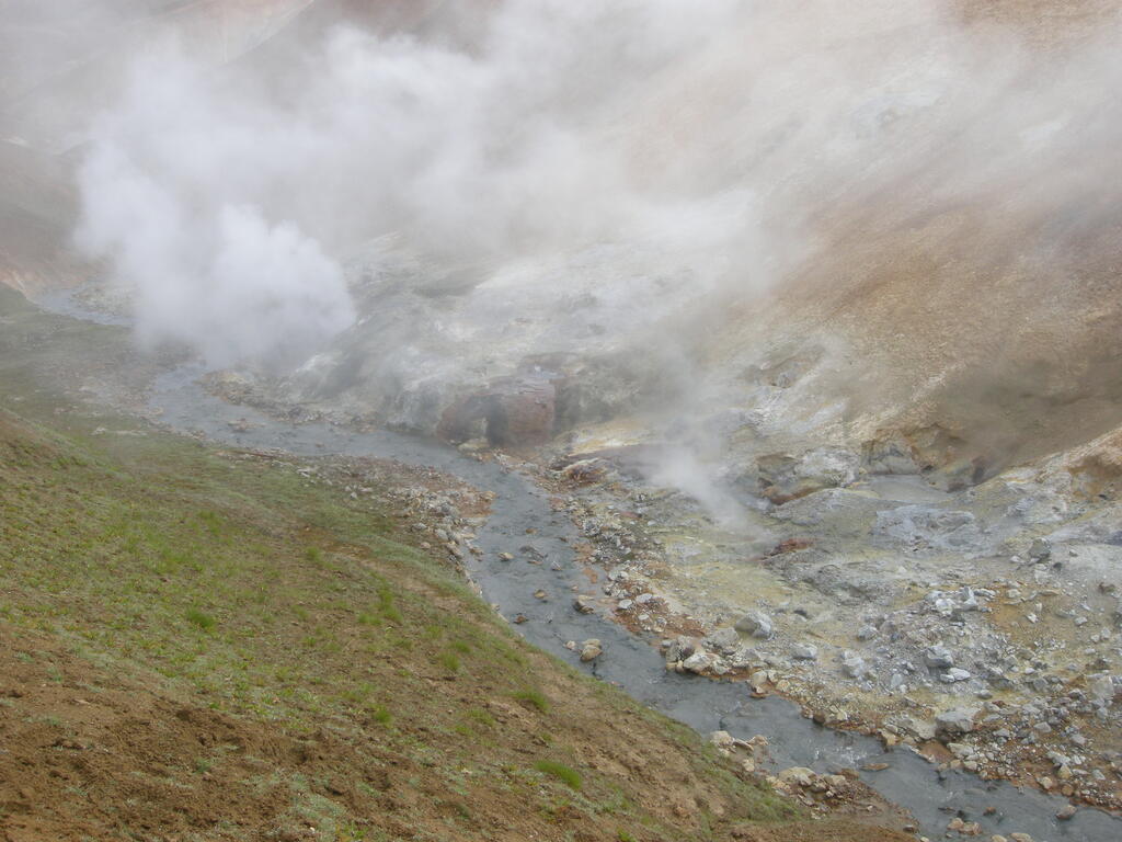 Wanderung durch das Geothermalgebiet, heiße Quellen im und am Bach