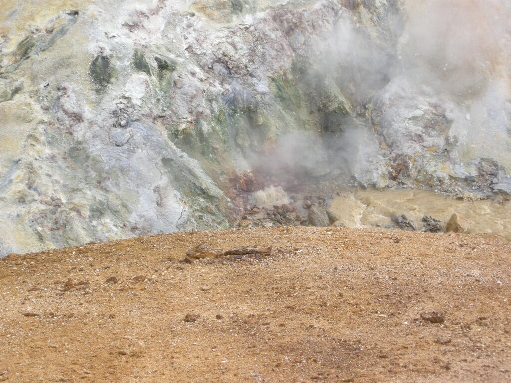 Wanderung durch das Geothermalgebiet, heiße Quellen im und am Bach