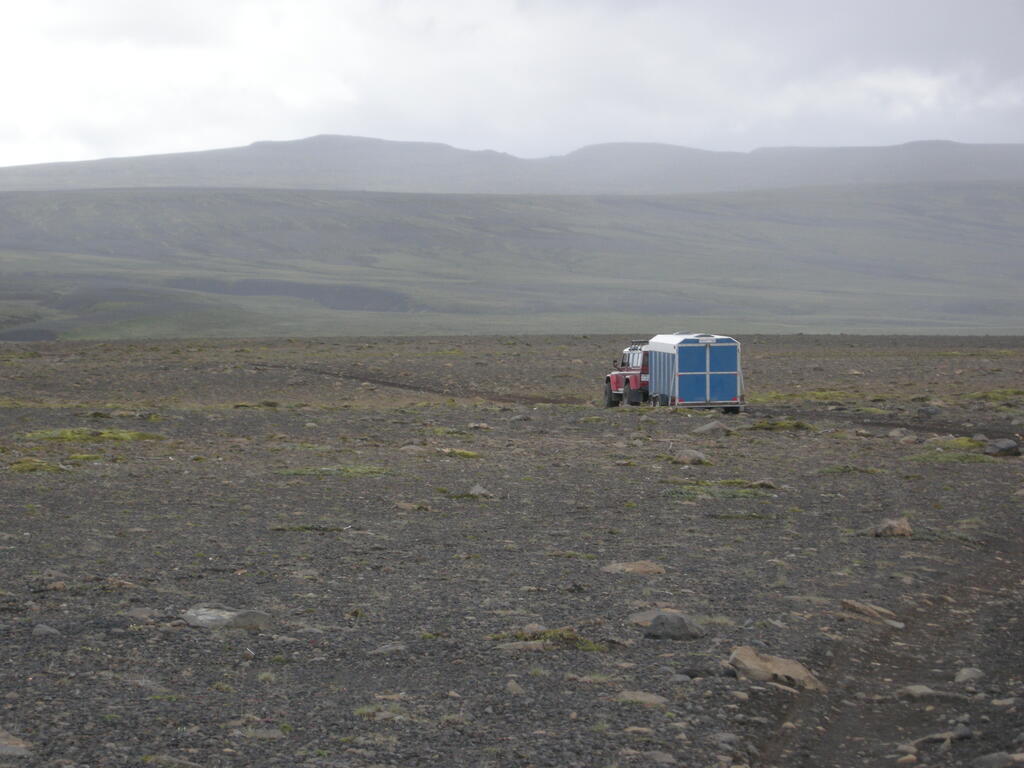 Leppistungur Piste Viehtransport
