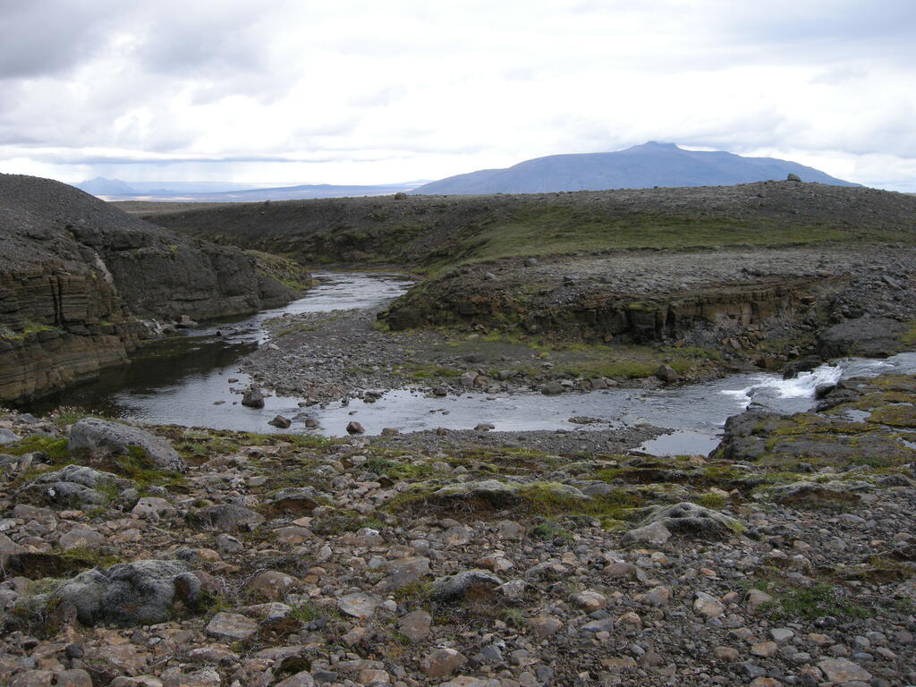 Leppistungur Piste Buðará
