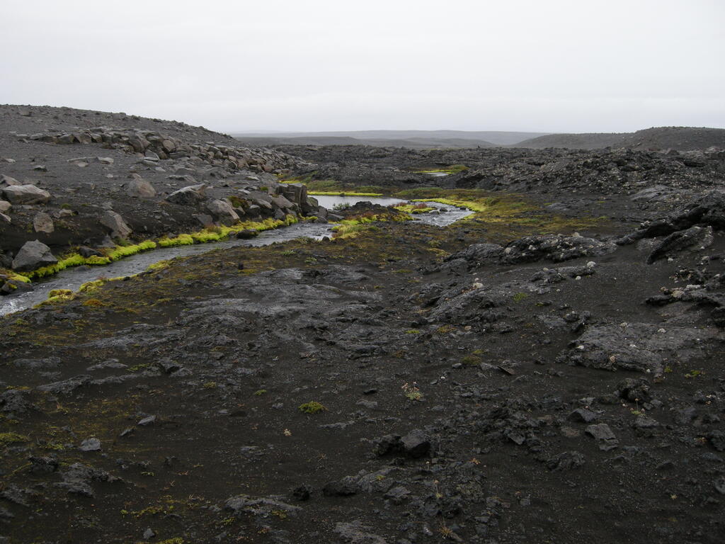F910, Am Wasser gibt es extrem grünes Moos
