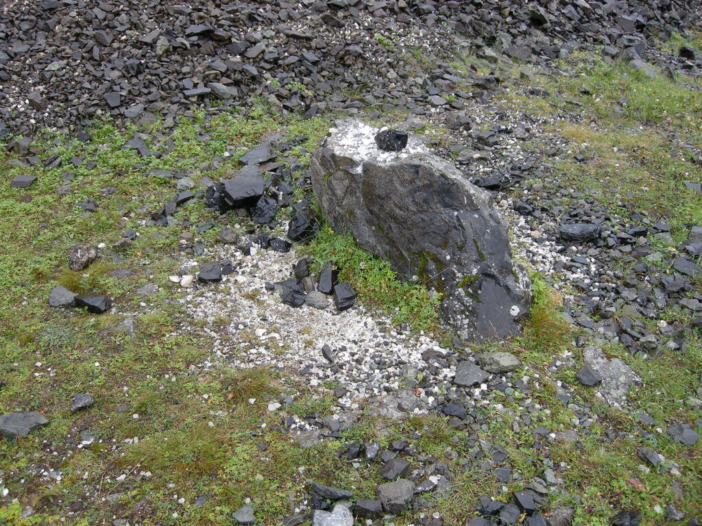 Manche scheinen sich nicht an das Sammelverbot zu halten...