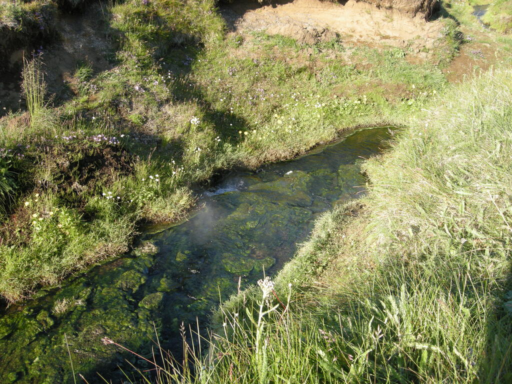 Heiße Quelle in Laugavellir