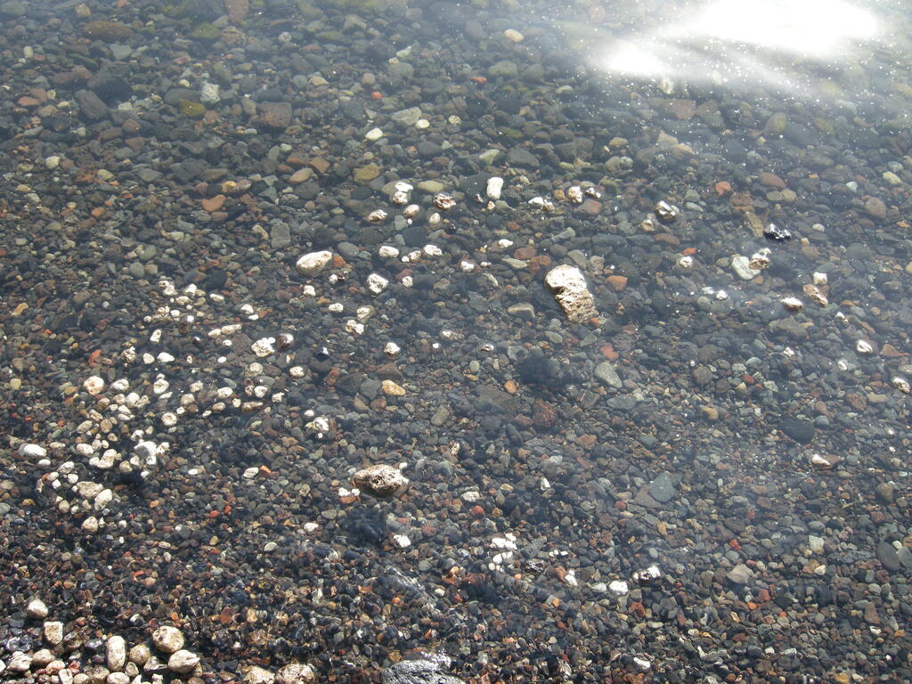 Schwimmender Bims im Öskjuvatn