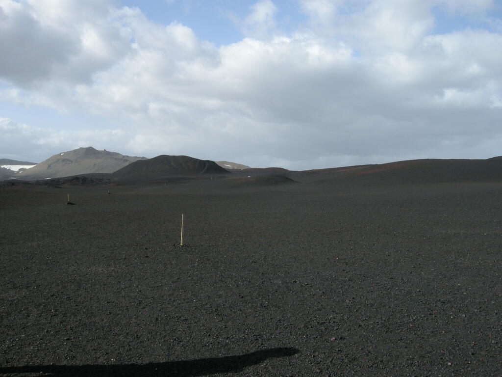 Wanderweg zurück zum Parkplatz