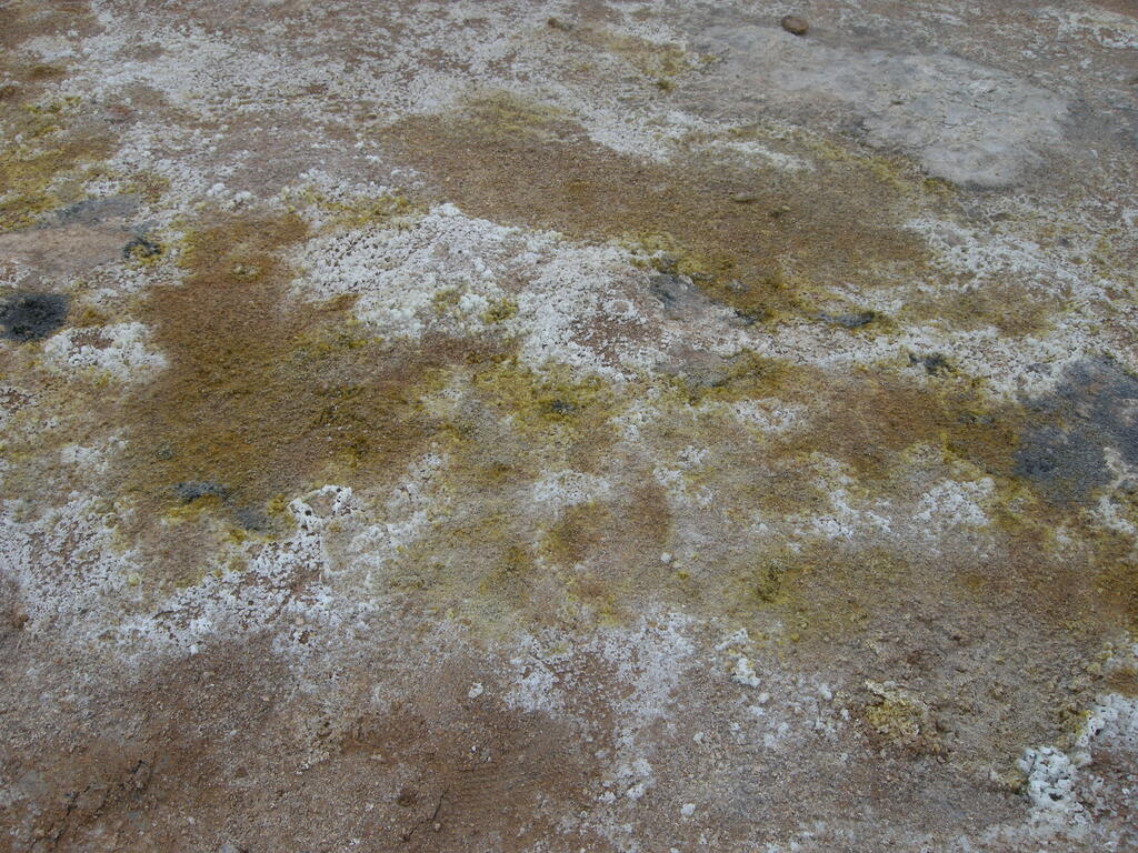 Hydrothermalgebiet Námafjall