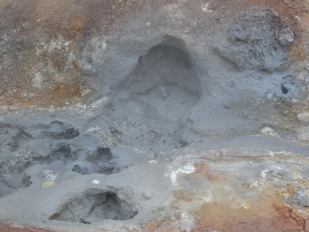 Hydrothermalgebiet Þeistareykir