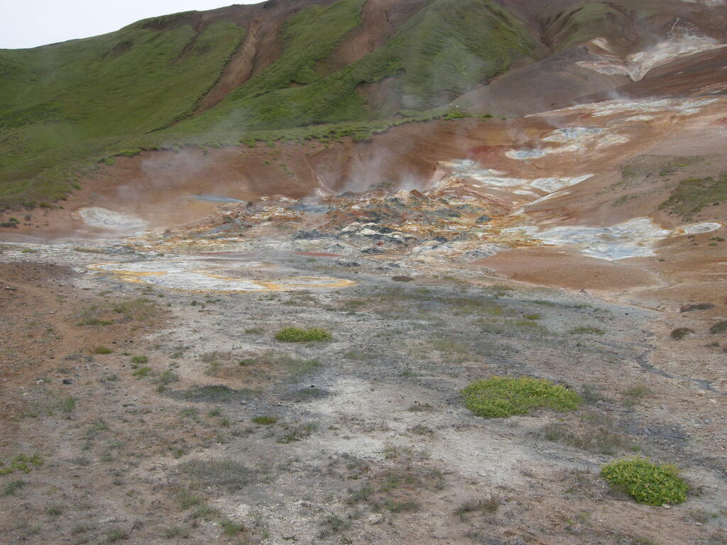 Hydrothermalgebiet Þeistareykir