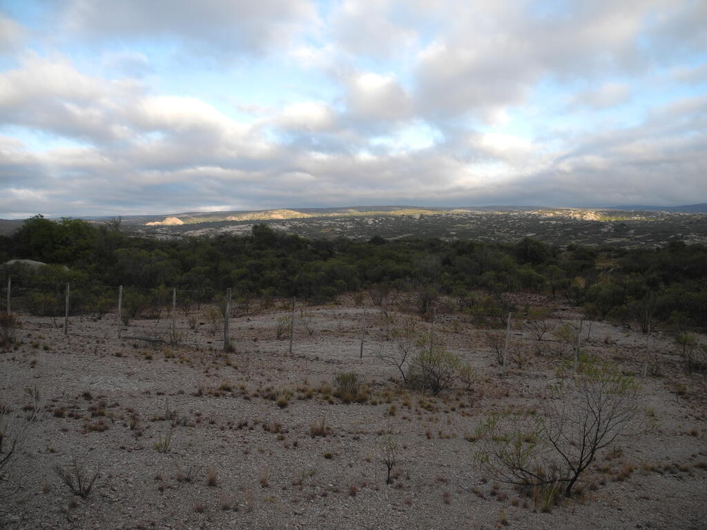 Landschaft an der RP41