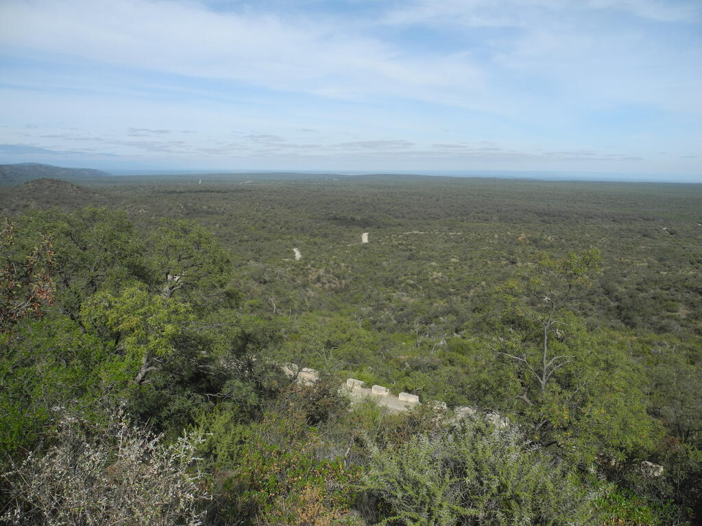 Landschaft bei Altautina