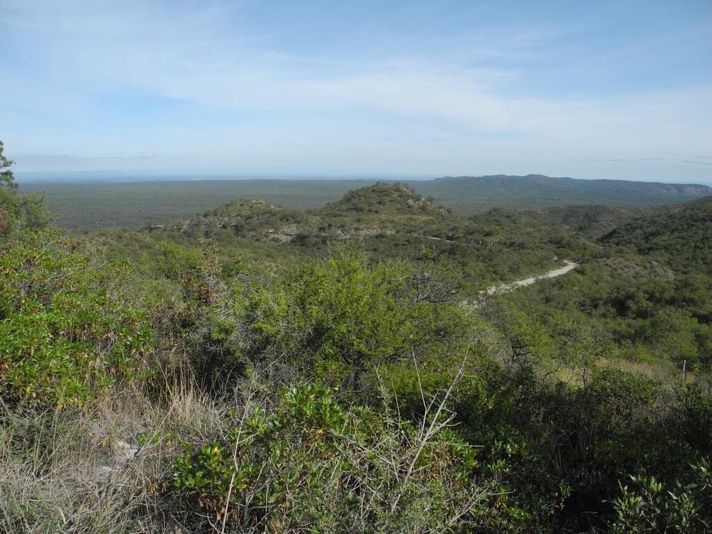 Landschaft bei Altautina