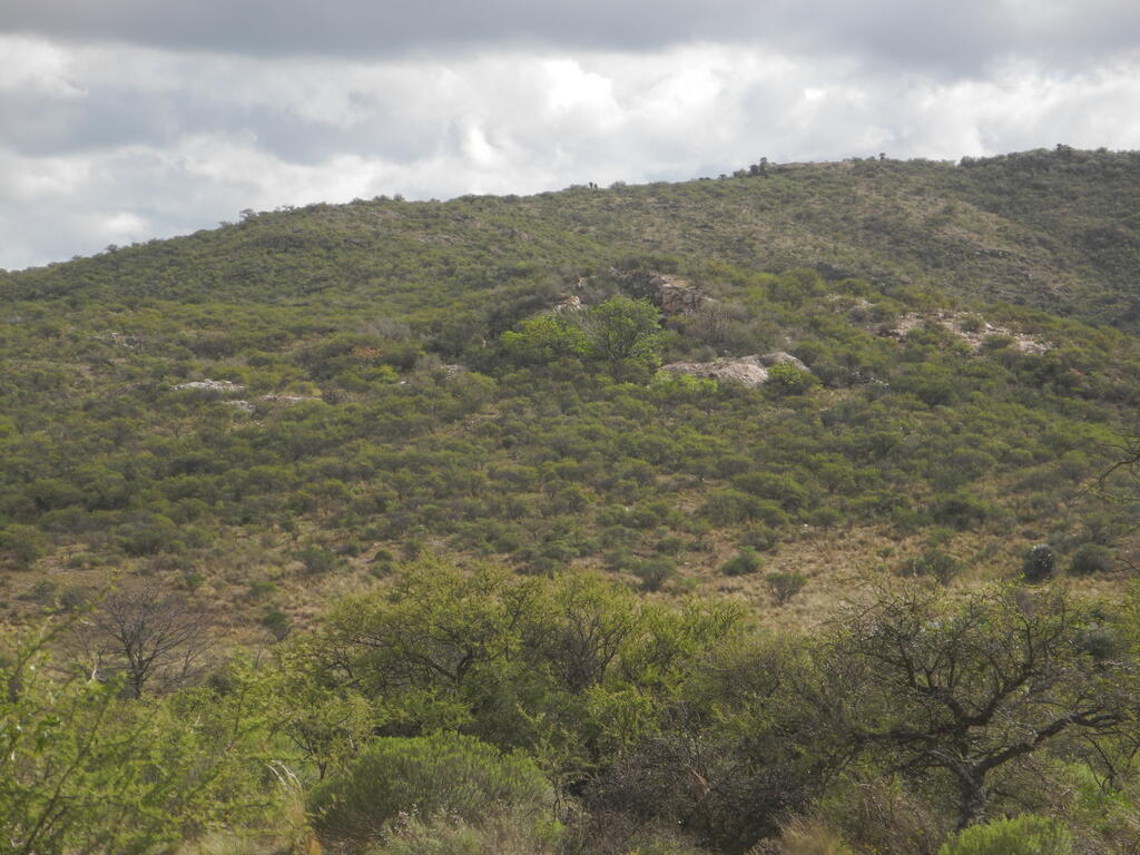 Ehemaliger Pegmatit Steinbruch Tablada von der Straße aus gesehen