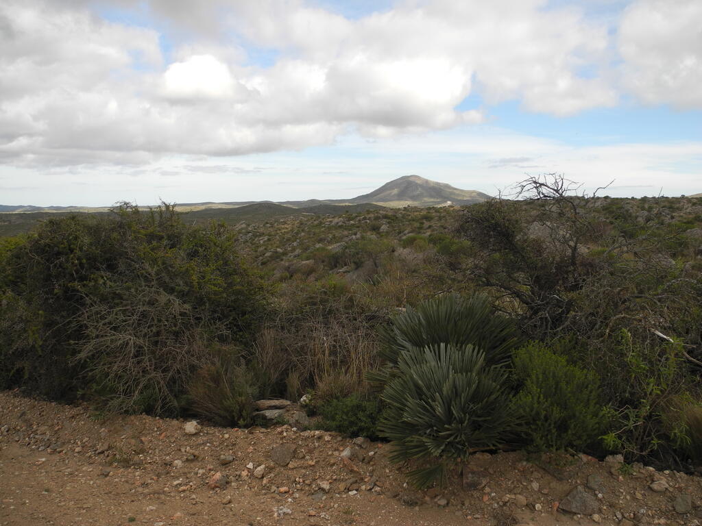 Landschaft an der S305