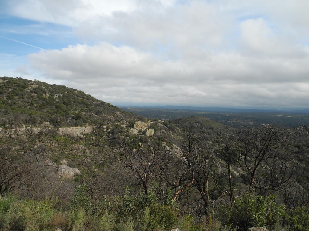 Landschaft an the RP28