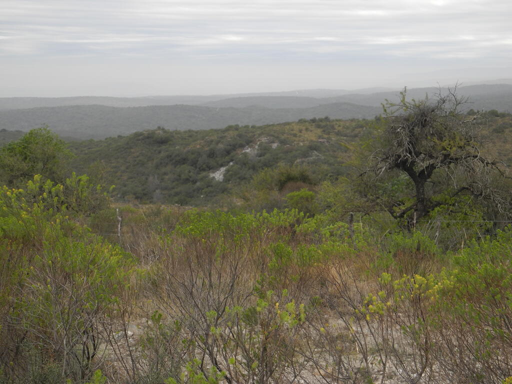 Eine kleine Grube in der Nähe von Los Guindos von der Straße aus gesehen