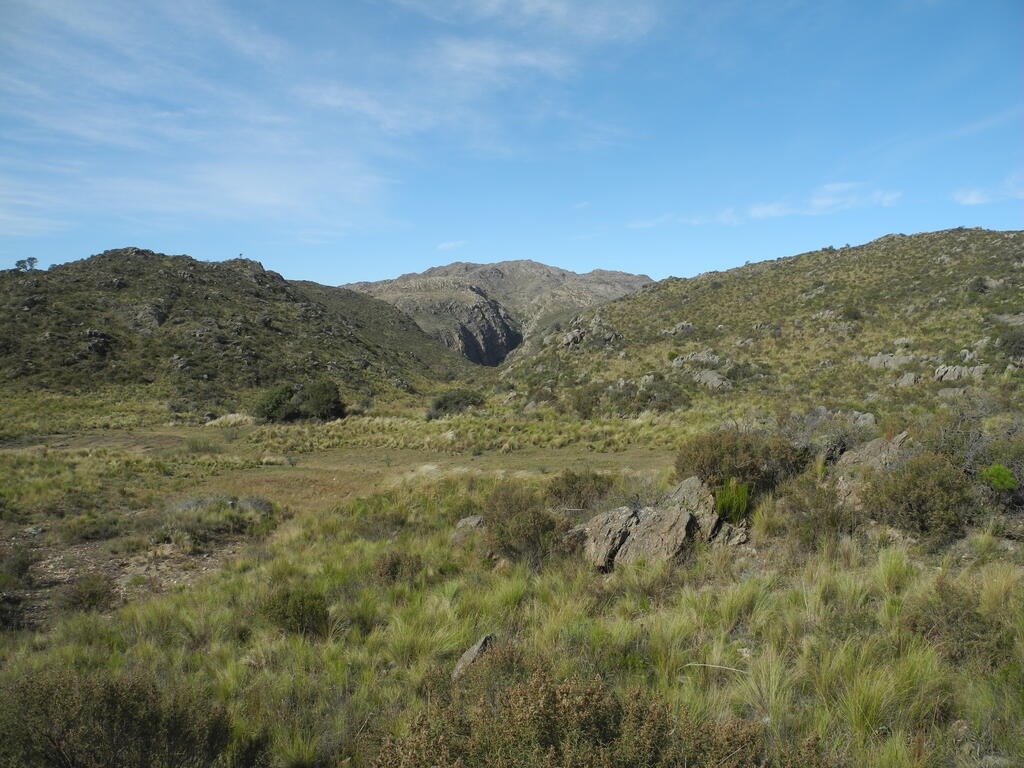Landschaft an der RPS504 zwischen Pampa de Oláen und Candelaria