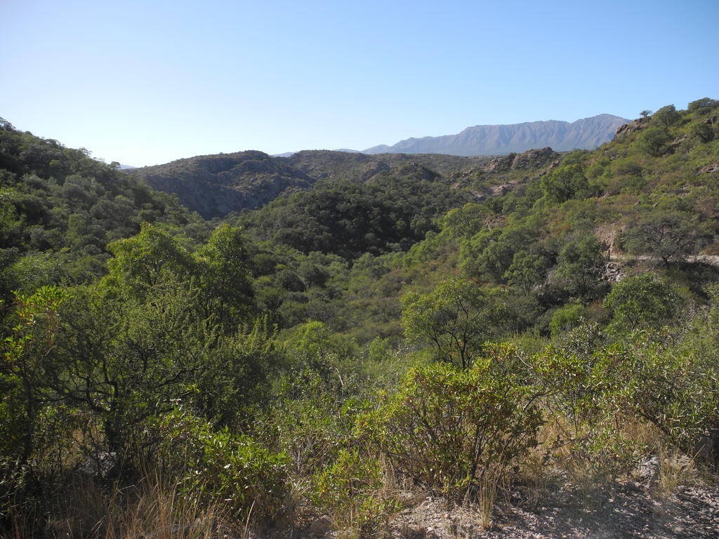 Landschaft an der RPE92 zwischen San Marcos Sierras und Capilla del Monte