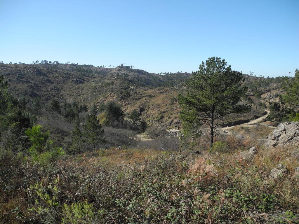 Landschaft an der RPS273 zwischen Atos Pampa und Villa Yacanto