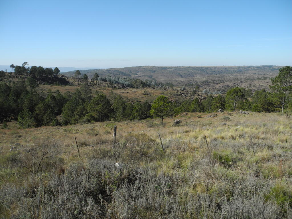 Landschaft an der RPS273 zwischen Atos Pampa und Villa Yacanto