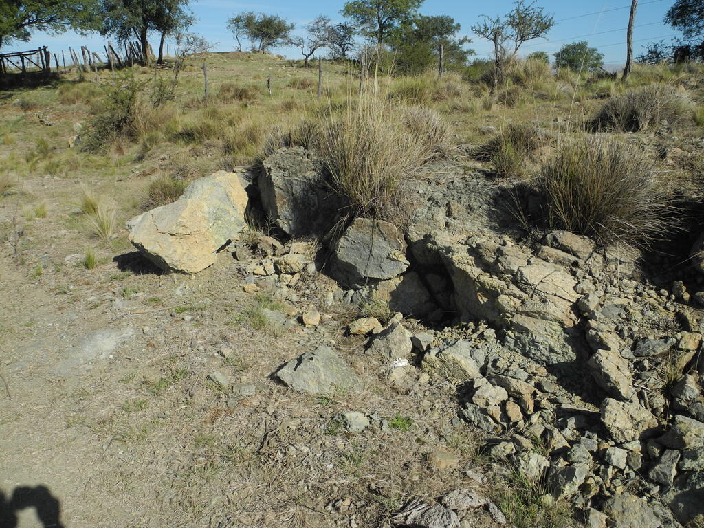 Serpentinit Aufschluss am Straßenrand