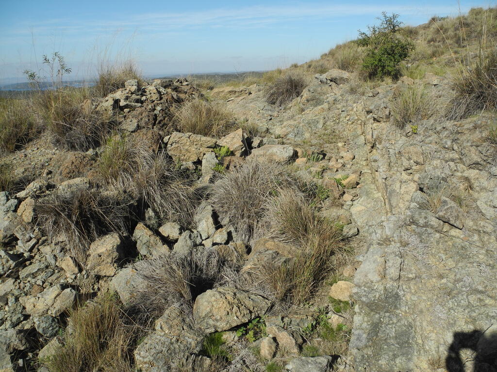 Serpentinit Aufschluss im Gelände