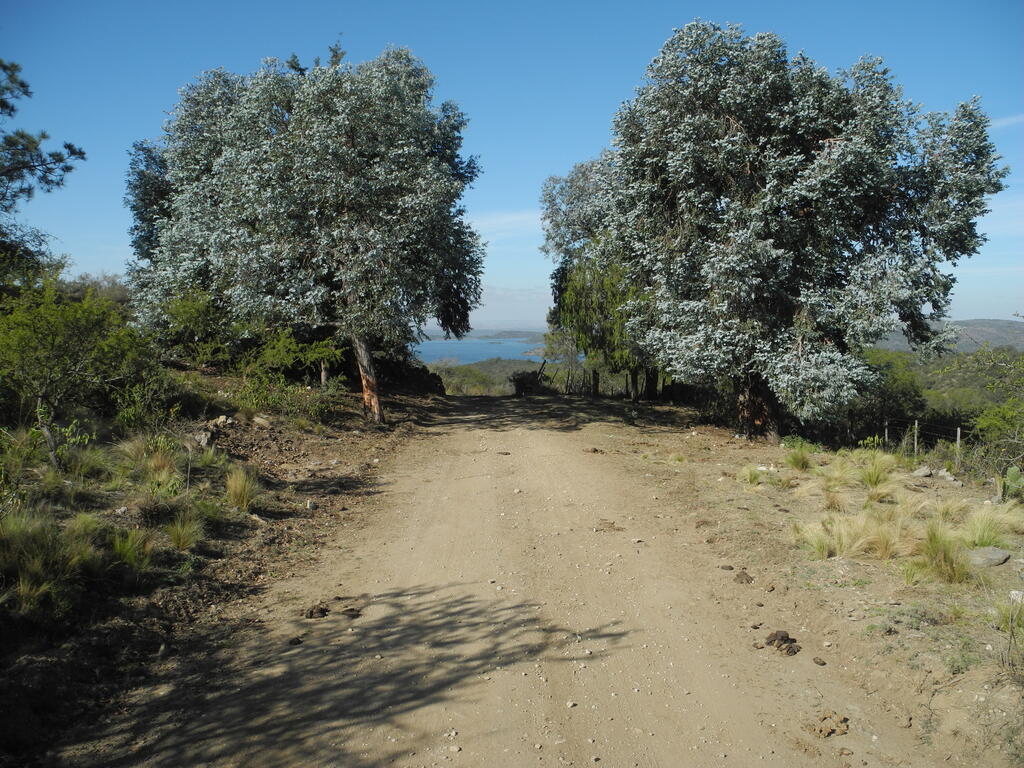 Landschaft an der Straße von Villa Yacanto nach Embalse Cerro Pelado
