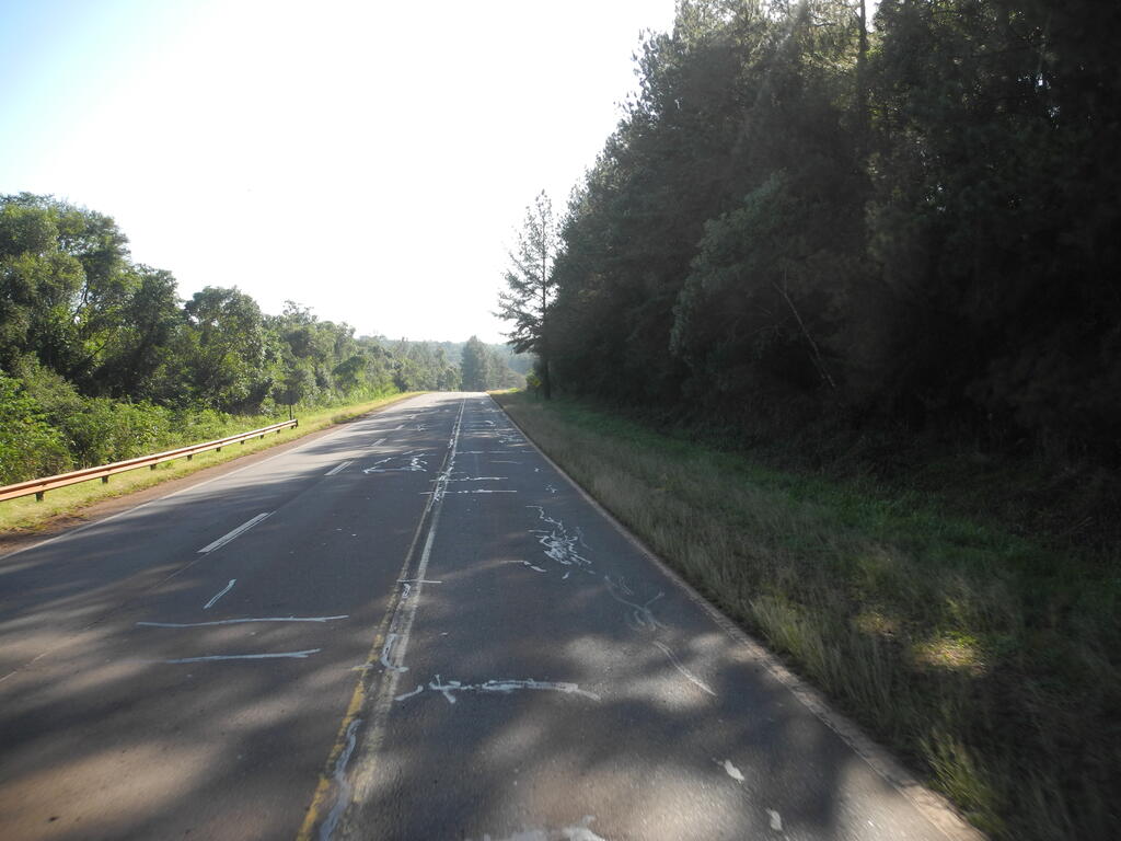 Landschaft an der RN12 zwischen Posadas und Iguazú
