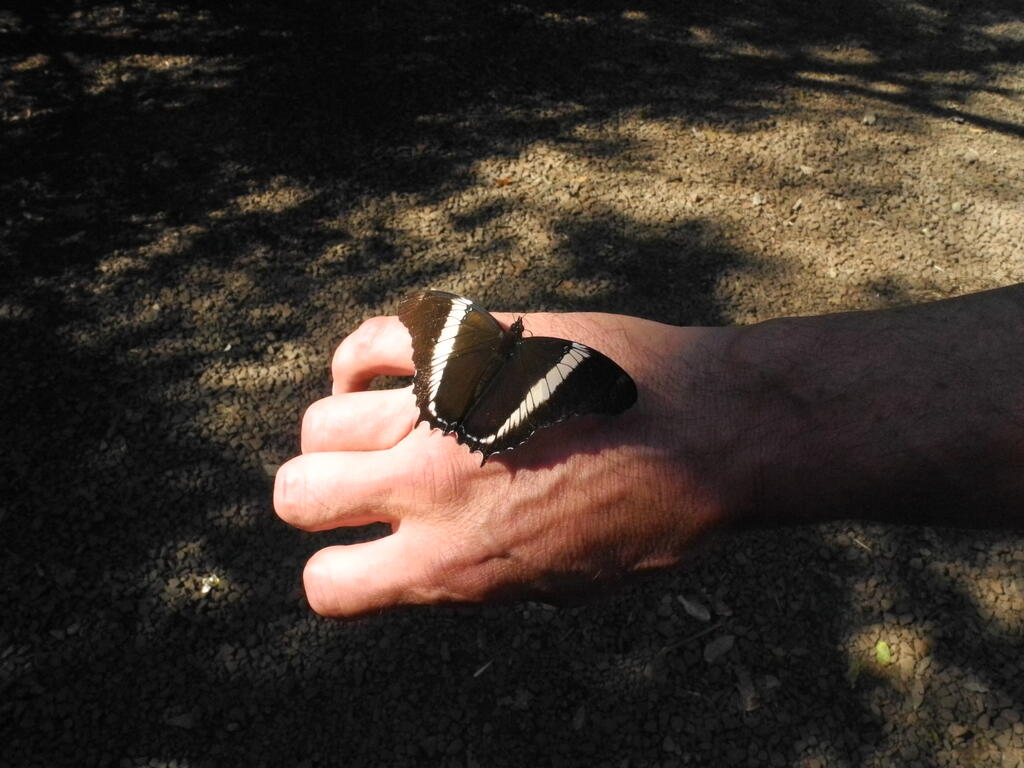 Nochmal auf der anderen Hand