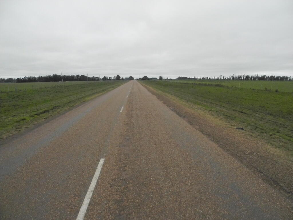 Landschaft an der Ruta 31 zwischen Salto und Tacuarembó