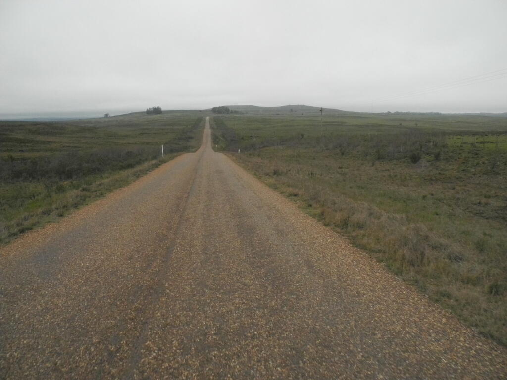 Landschaft an der Ruta 31 zwischen Salto und Tacuarembó