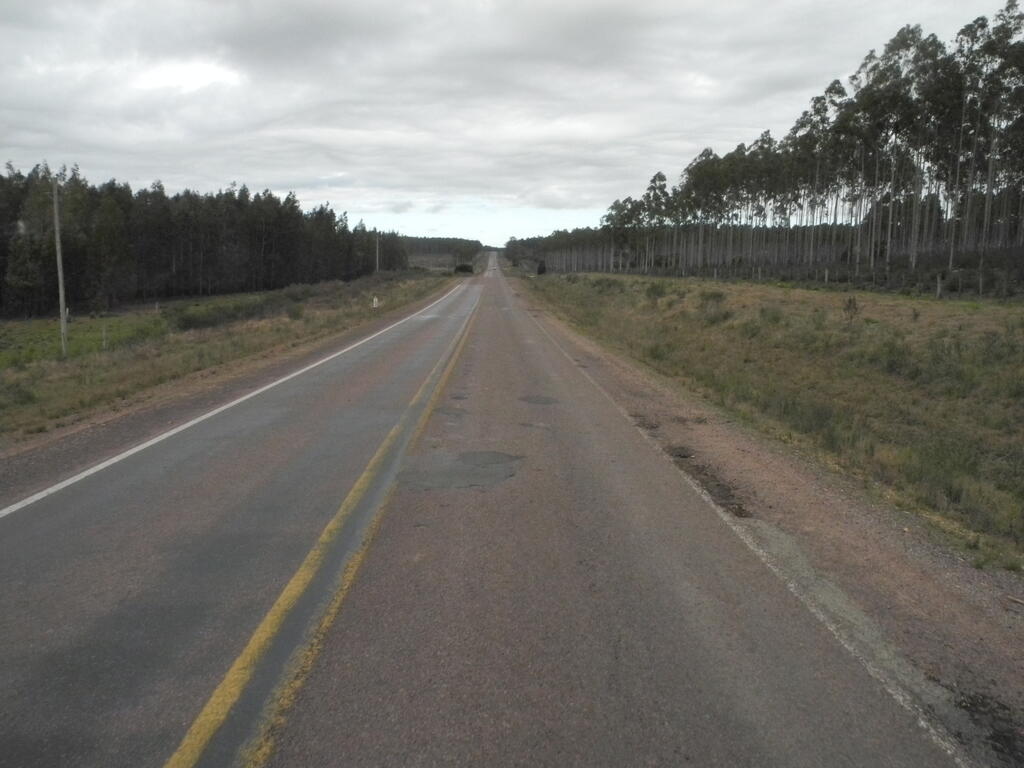 Landschaft an der Ruta 7 zwischen Fraile Muerto und Tala