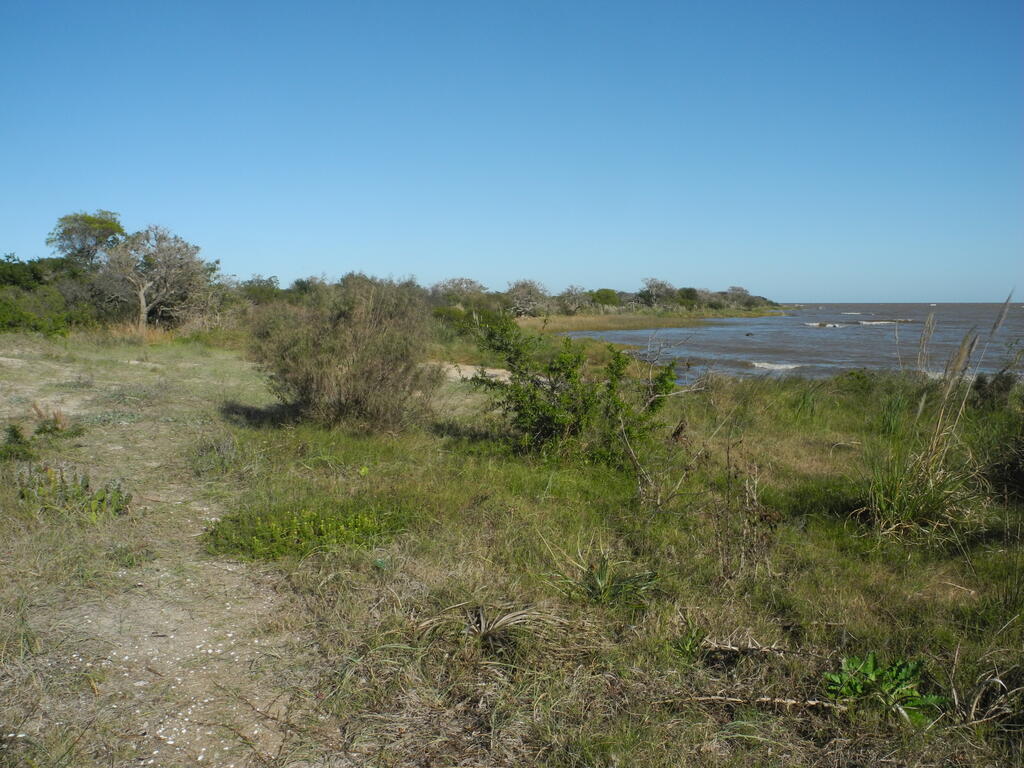 Die Küste an der Punta Espinillo