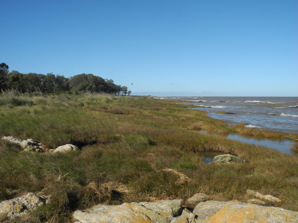 Die Küste an der Punta Espinillo