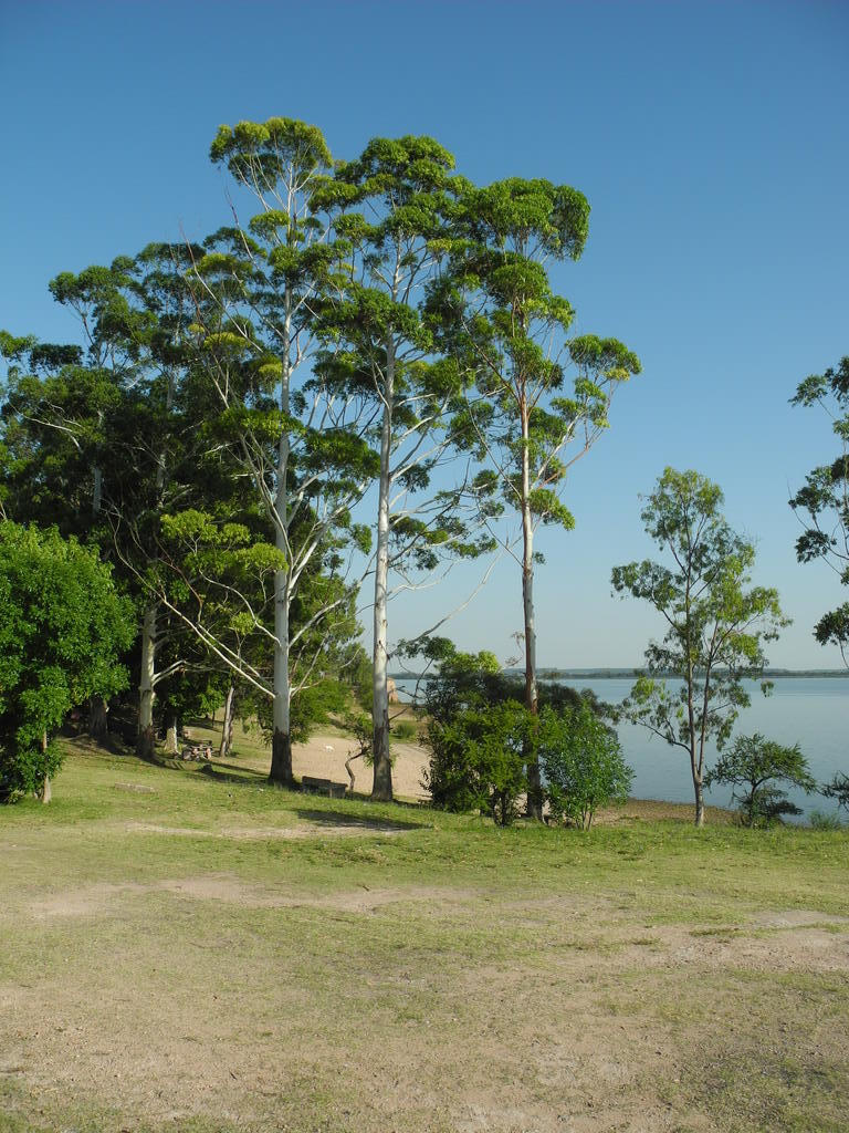 Der Campingplatz in Fray Bentos am Morgen