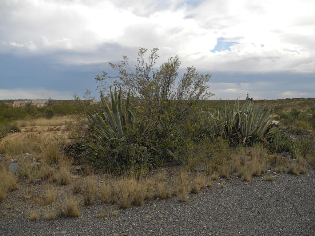 Erste Eindrücke der alten Bergbausiedlung