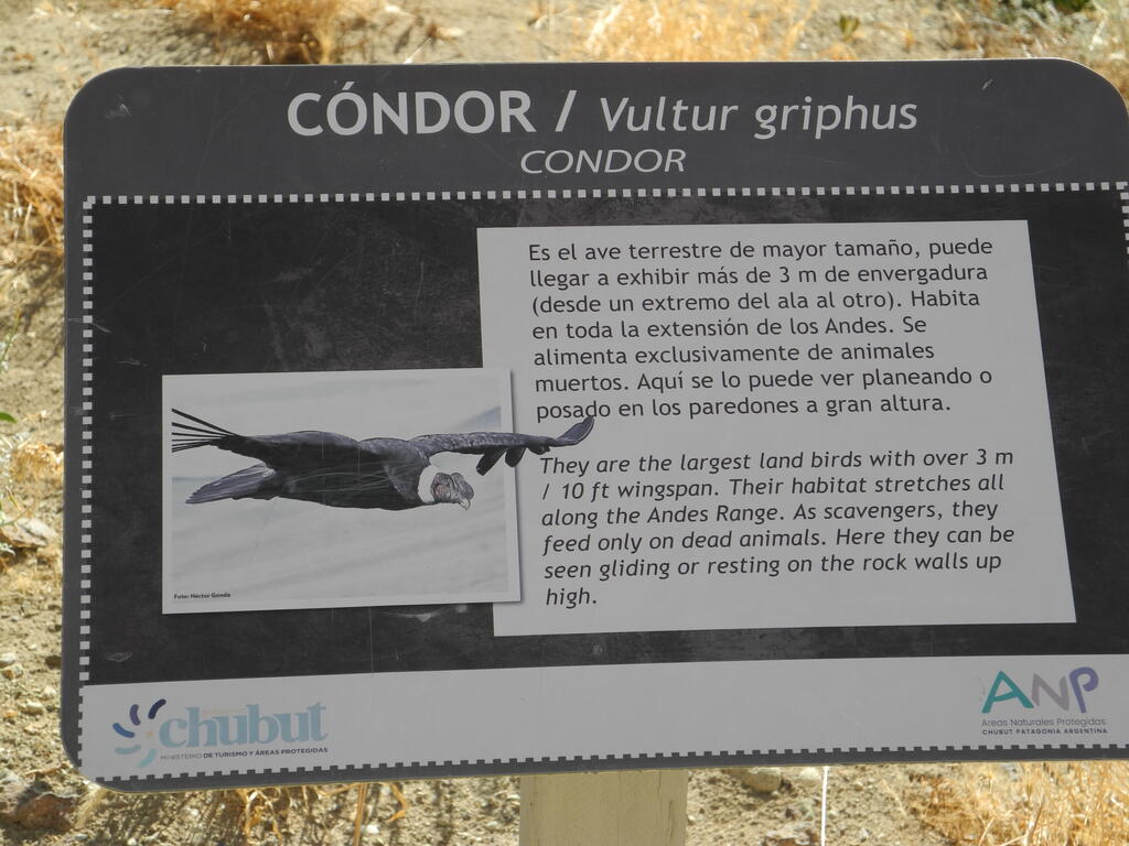 Infotafel Condor