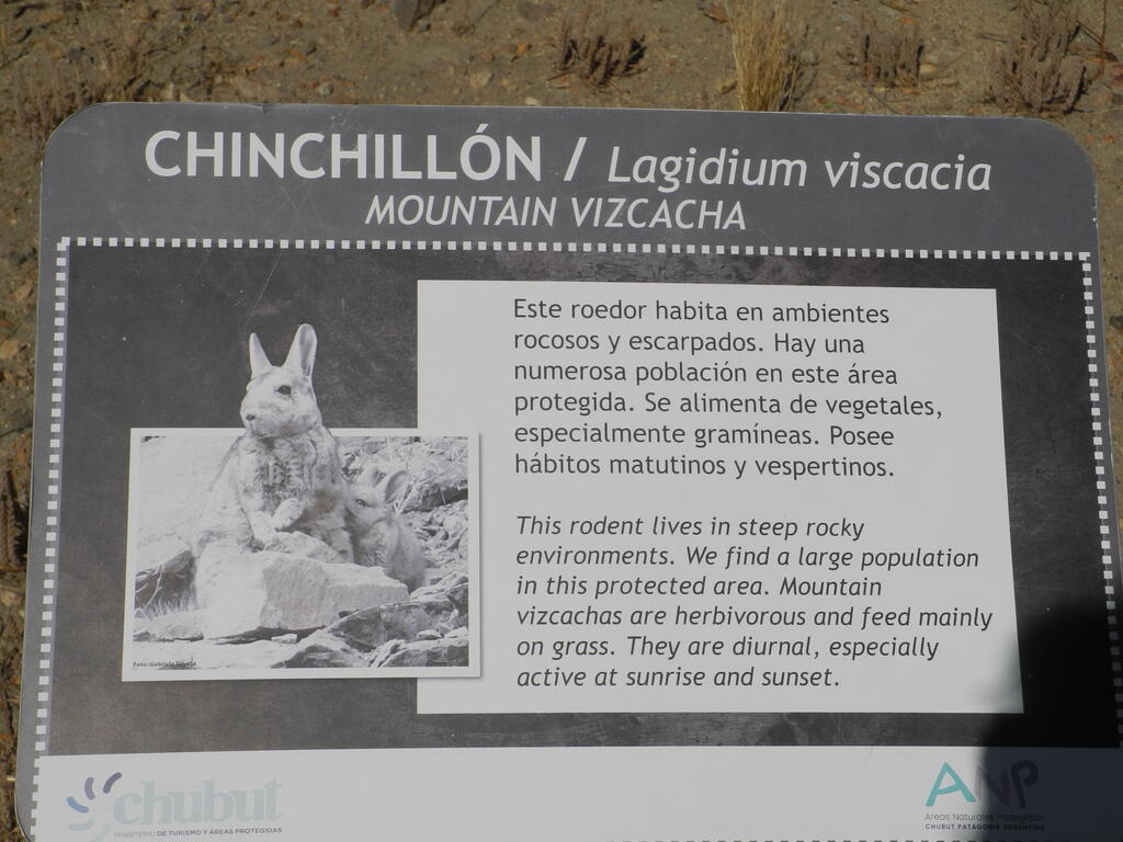 Infotafel Chinchillón
