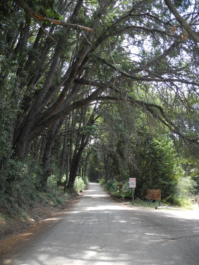 Der Beginn der Straße zum Lago Roca