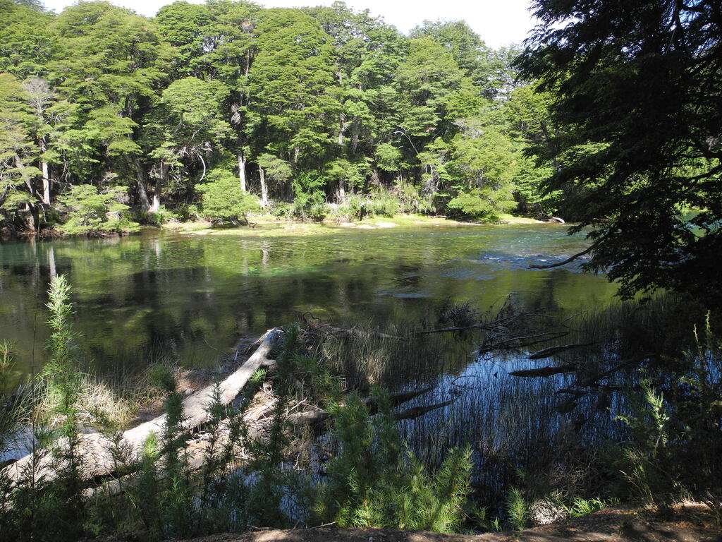 Rio Manso in der Nähe des Lago Roca