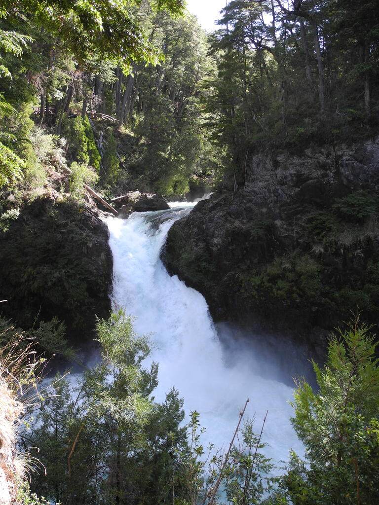 Cascada Los Alerces
