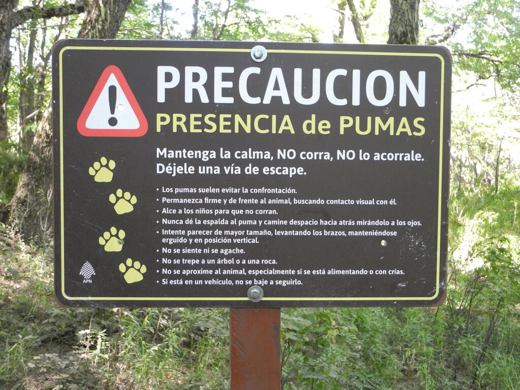 Vorsicht, man könnte zu Katzenfutter werden...