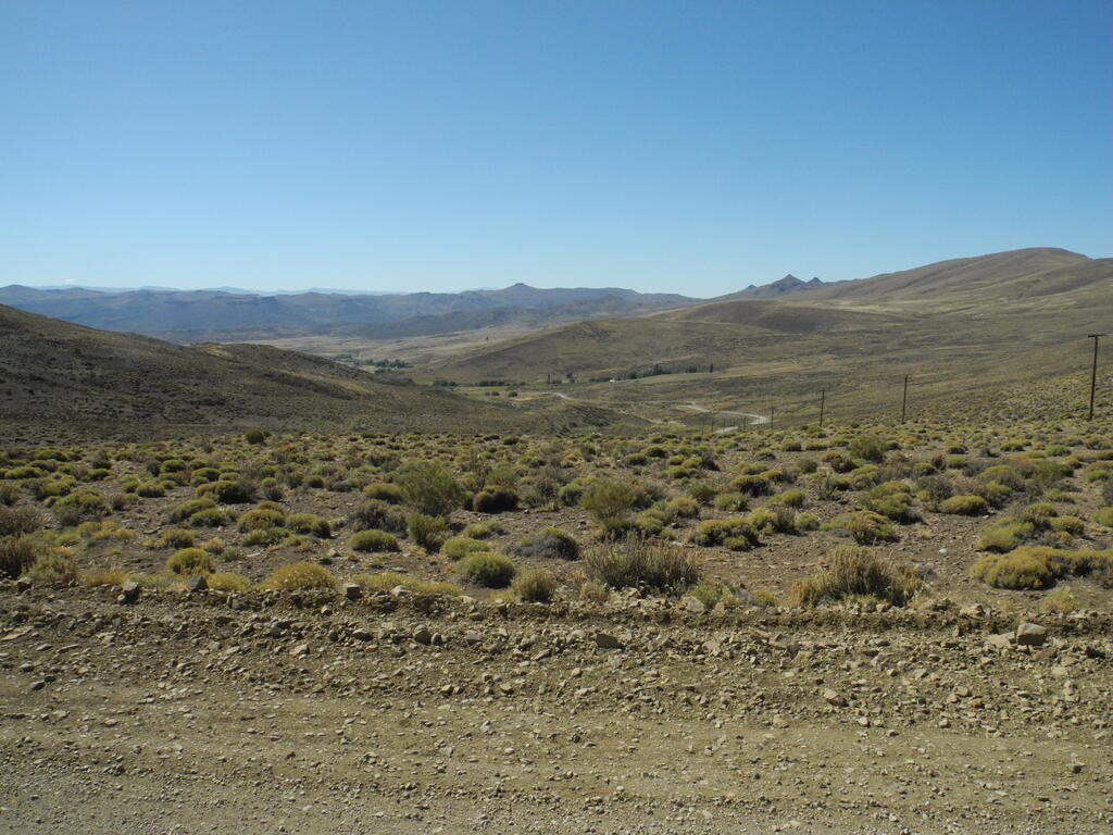 An der RP4 wird die Landschaft etwas kahler...