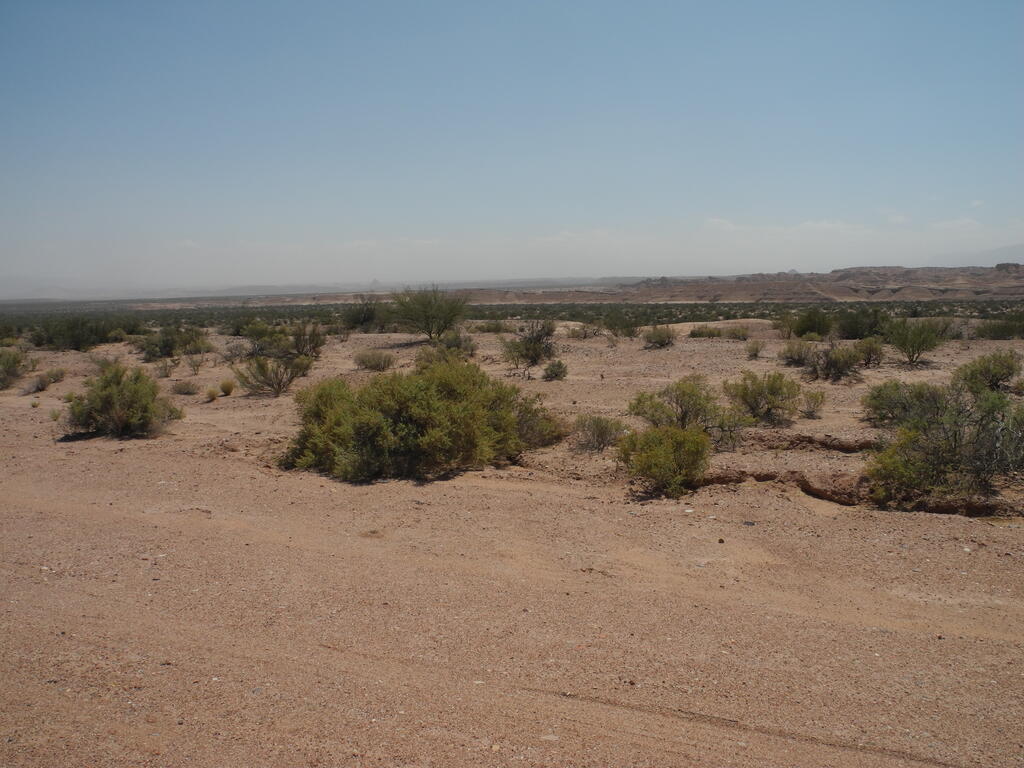 Landschaft im Talampaya Nationalpark