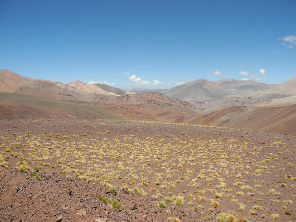 Landschaft zwischen El Peñón und Laguna Brava