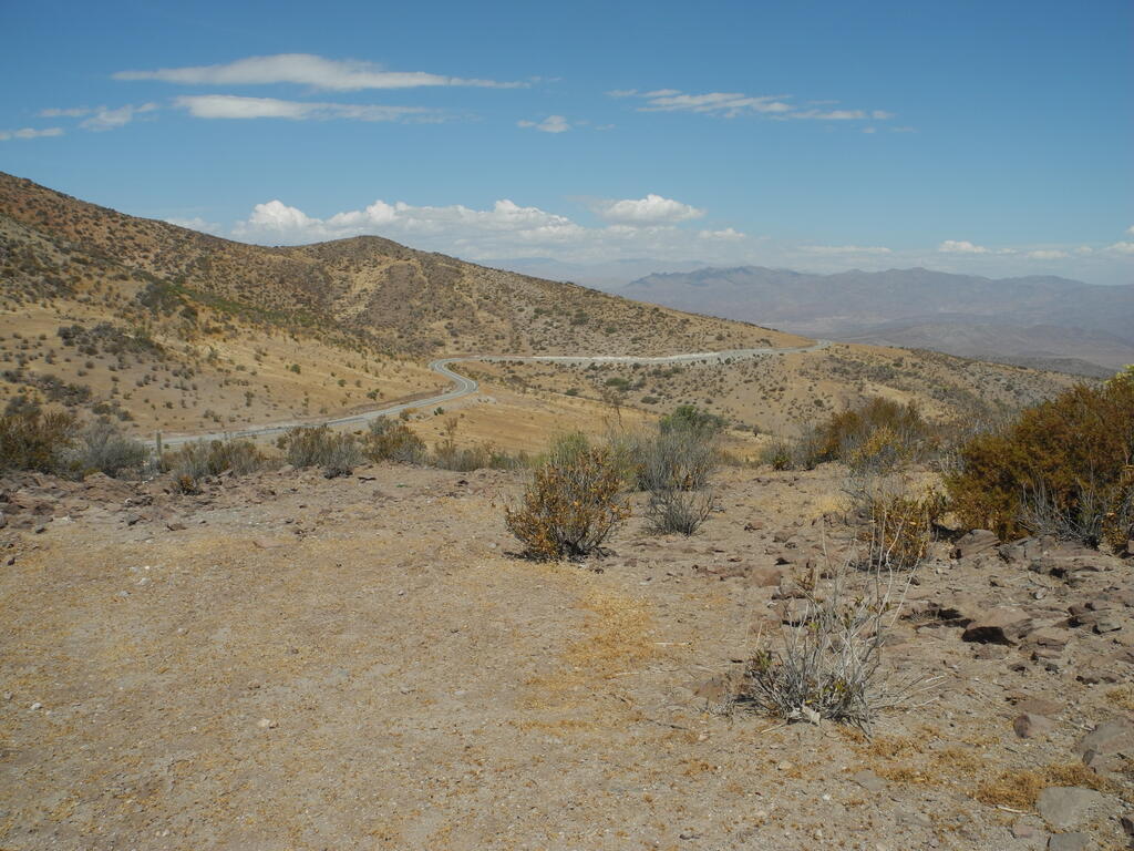 Straße von Andacollo nach Samo Alto