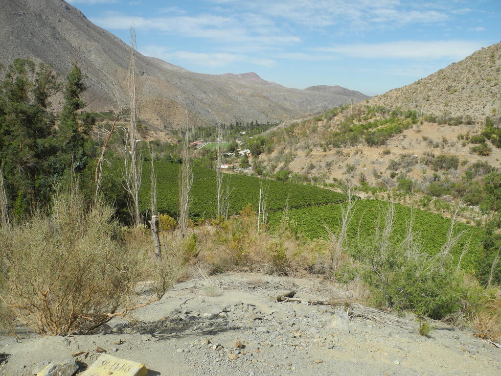 Das Tal zwischen Samo Alto und dem Pass nach Vicuña