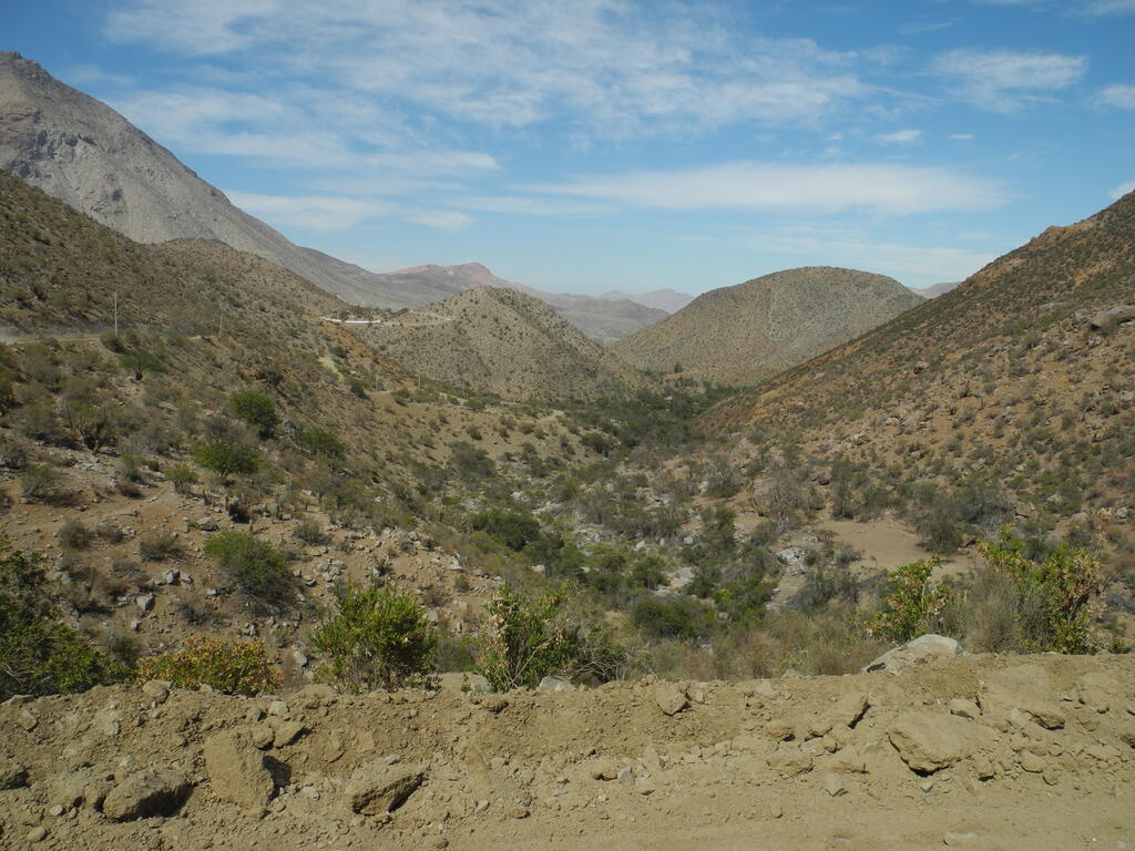 Das Tal zwischen Samo Alto und dem Pass nach Vicuña