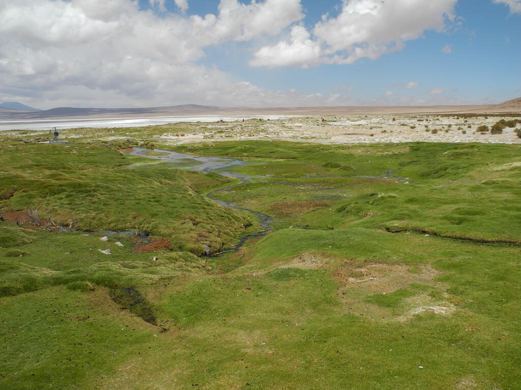 Einer der Zuflüsse des Salar de Huasco