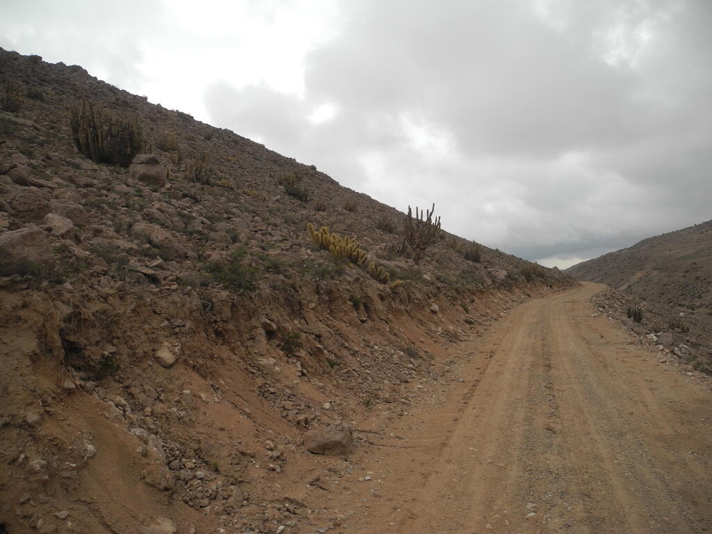 Landschaft an der Straße A-555